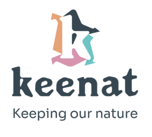logo kn vertical baseline 09 2